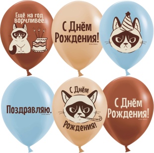 Шар (12''/30 см) С Днем Рождения! (сердитая кошка), Ассорти, пастель, 2 ст, 25 шт.